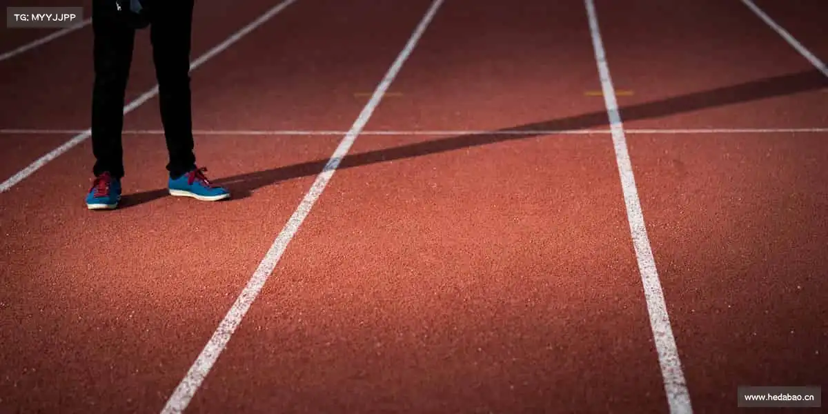 行业领先的理由